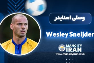 Wesley Sneijder