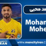 mohamad-mohebi