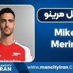 بیوگرافی میکل مرینو
